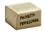 Realizzazione Siti Web
          Pacchetto professional