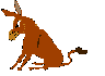 GIF ANIMATE animale, animali, ANIMALE, animali, Animale, Animali, asino, ASINO, Asino, asini, ASINI, Asini, asina, ASINA, Asina, asinello, ASINELLO, Asinello, asinelli, ASINELLI, Asinelli, ciuchino, CIUCHINO, Ciuchino