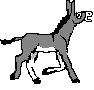 gif animate GIF ANIMATE Gif Animate animale, animali, ANIMALE, animali, Animale, Animali, asino, ASINO, Asino, asini, ASINI, Asini, asina, ASINA, Asina, asinello, ASINELLO, Asinello, asinelli, ASINELLI, Asinelli, ciuchino, CIUCHINO, Ciuchino
