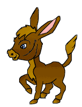 gif animate GIF ANIMATE Gif Animate animale, animali, ANIMALE, animali, Animale, Animali, asino, ASINO, Asino, asini, ASINI, Asini, asina, ASINA, Asina, asinello, ASINELLO, Asinello, asinelli, ASINELLI, Asinelli, ciuchino, CIUCHINO, Ciuchino