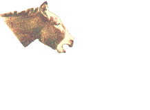 San Biagio gif animate GIF ANIMATE Gif Animate animale, animali, ANIMALE, animali, Animale, Animali, asino, ASINO, Asino, asini, ASINI, Asini, asina, ASINA, Asina, asinello, ASINELLO, Asinello, asinelli, ASINELLI, Asinelli, ciuchino, CIUCHINO, Ciuchino