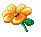 margherita MARGHERITA Margherita margherite MARGHERITE Margherite fiore FIORE Fiore fiori FIORI Fiori piante PIANTE Piante pianta PIANTA Pianta gif animate GIF ANIMATE Gif Animate
