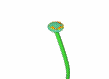 margherita MARGHERITA Margherita margherite MARGHERITE Margherite fiore FIORE Fiore fiori FIORI Fiori piante PIANTE Piante pianta PIANTA Pianta gif animate GIF ANIMATE Gif Animate