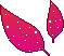 foglia FOGLIA Foglia foglie FOGLIE Foglie piante PIANTE Piante pianta PIANTA Pianta gif animate GIF ANIMATE Gif Animate