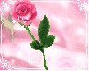 rosa ROSA Rosa rose ROSE Rose bocciolo BOCCIOLO Bocciolo boccioli BOCCIOLI Boccioli fiore FIORE Fiore fiori FIORI Fiori piante PIANTE Piante pianta PIANTA Pianta gif animate GIF ANIMATE Gif Animate