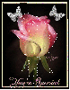 rosa ROSA Rosa rose ROSE Rose bocciolo BOCCIOLO Bocciolo boccioli BOCCIOLI Boccioli fiore FIORE Fiore fiori FIORI Fiori piante PIANTE Piante pianta PIANTA Pianta gif animate GIF ANIMATE Gif Animate