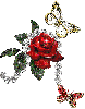 rosa ROSA Rosa rose ROSE Rose bocciolo BOCCIOLO Bocciolo boccioli BOCCIOLI Boccioli fiore FIORE Fiore fiori FIORI Fiori piante PIANTE Piante pianta PIANTA Pianta gif animate GIF ANIMATE Gif Animate