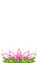fiore FIORE Fiore fiori FIORI Fiori piante PIANTE Piante pianta PIANTA Pianta gif animate GIF ANIMATE Gif Animate