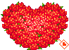 rosa ROSA Rosa rose ROSE Rose bocciolo BOCCIOLO Bocciolo boccioli BOCCIOLI Boccioli fiore FIORE Fiore fiori FIORI Fiori piante PIANTE Piante pianta PIANTA Pianta gif animate GIF ANIMATE Gif Animate