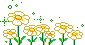 margherita MARGHERITA Margherita margherite MARGHERITE Margherite  fiore FIORE Fiore fiori FIORI Fiori piante PIANTE Piante pianta PIANTA Pianta gif animate GIF ANIMATE Gif Animate