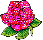 rosa ROSA Rosa rose ROSE Rose bocciolo BOCCIOLO Bocciolo boccioli BOCCIOLI Boccioli fiore FIORE Fiore fiori FIORI Fiori piante PIANTE Piante pianta PIANTA Pianta gif animate GIF ANIMATE Gif Animate