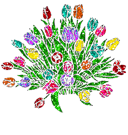 margherita MARGHERITA Margherita margherite MARGHERITE Margherite fiore FIORE Fiore fiori FIORI Fiori piante PIANTE Piante pianta PIANTA Pianta gif animate GIF ANIMATE Gif Animate
