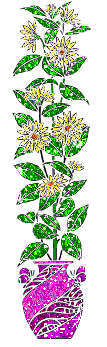 margherita MARGHERITA Margherita margherite MARGHERITE Margherite fiore FIORE Fiore fiori FIORI Fiori piante PIANTE Piante pianta PIANTA Pianta gif animate GIF ANIMATE Gif Animate