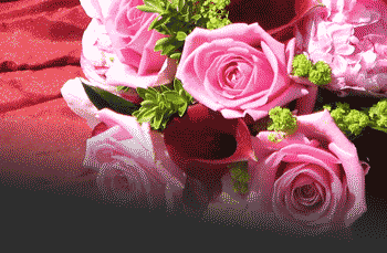 rosa ROSA Rosa rose ROSE Rose bocciolo BOCCIOLO Bocciolo boccioli BOCCIOLI Boccioli fiore FIORE Fiore fiori FIORI Fiori piante PIANTE Piante pianta PIANTA Pianta gif animate GIF ANIMATE Gif Animate