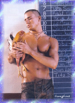 Gif Animate erotiche eros sesso sex sexy  GIF ANIMATE EROTICHE by Studio Immagine www.abcsitiweb.com
